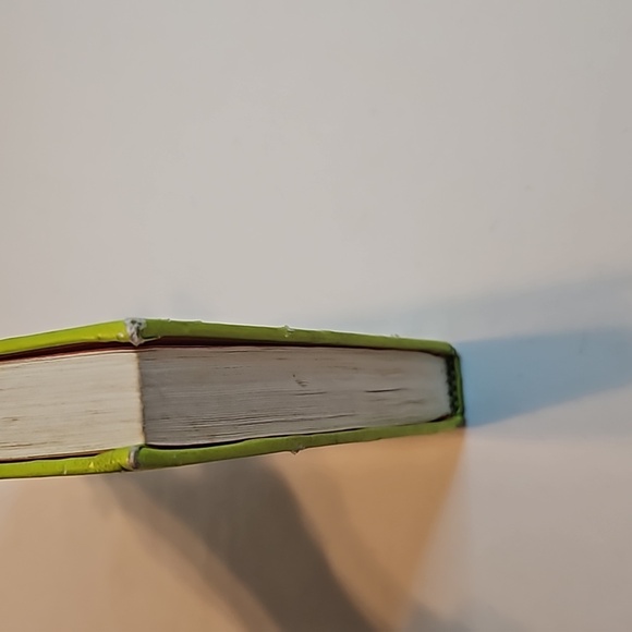 Diary of a Wimpy Kid Hard Luck Amulet Books Home Accents Table Books - Picture 7 of 17